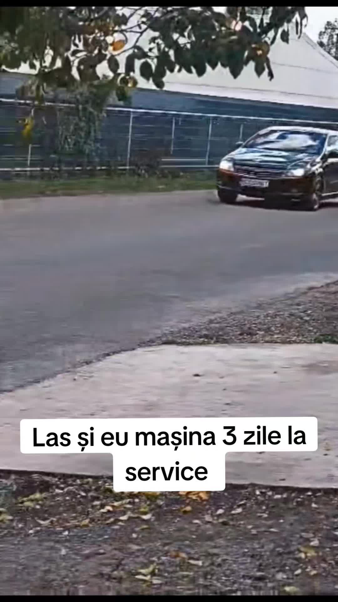 @💥20MGT💥