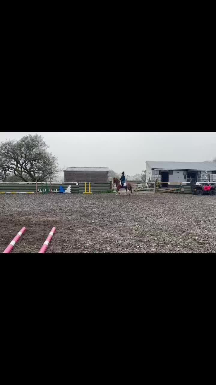 @Horses <3