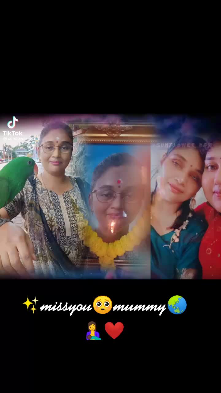 @✨സുചിത്ര അനിൽകുമാർ🖤💙🍃