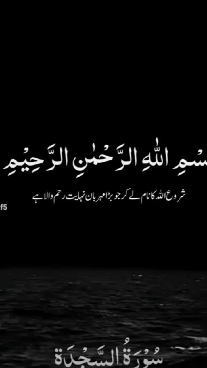 @Zunoon Chahal