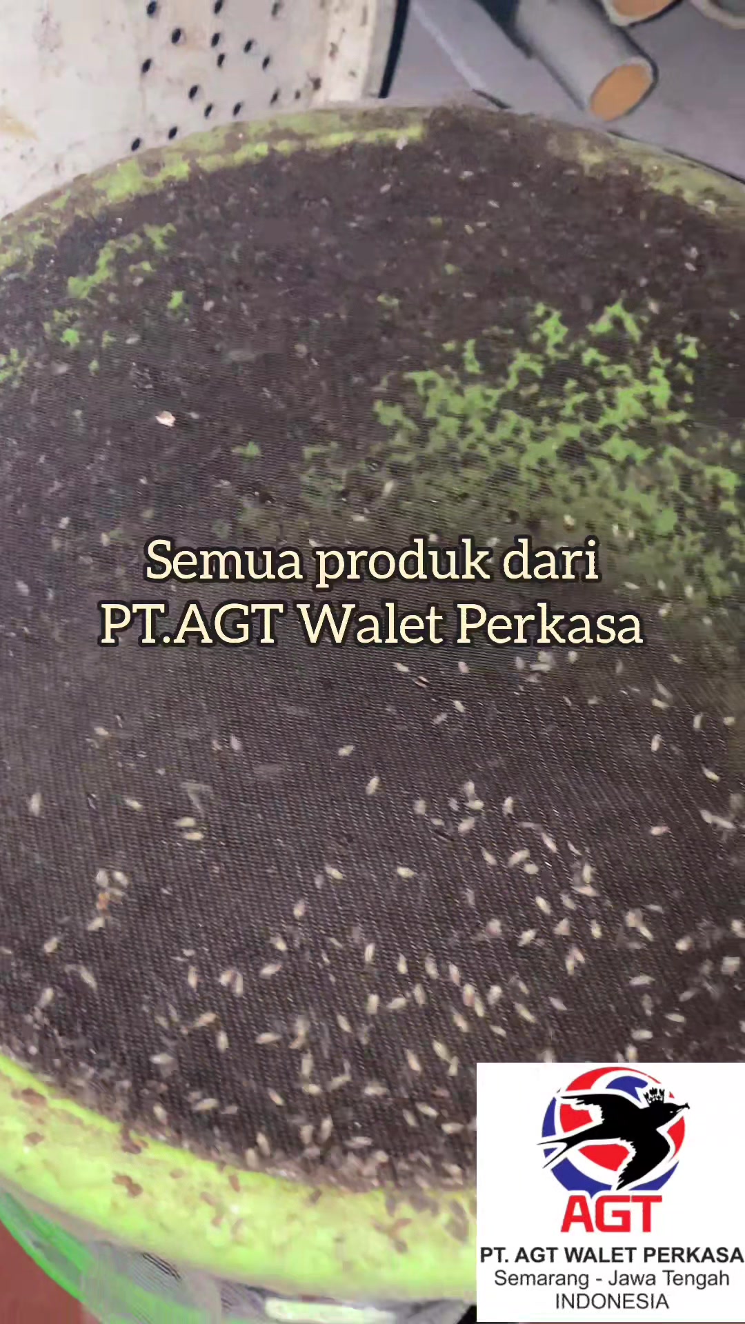 @AGT WALET PERKASA