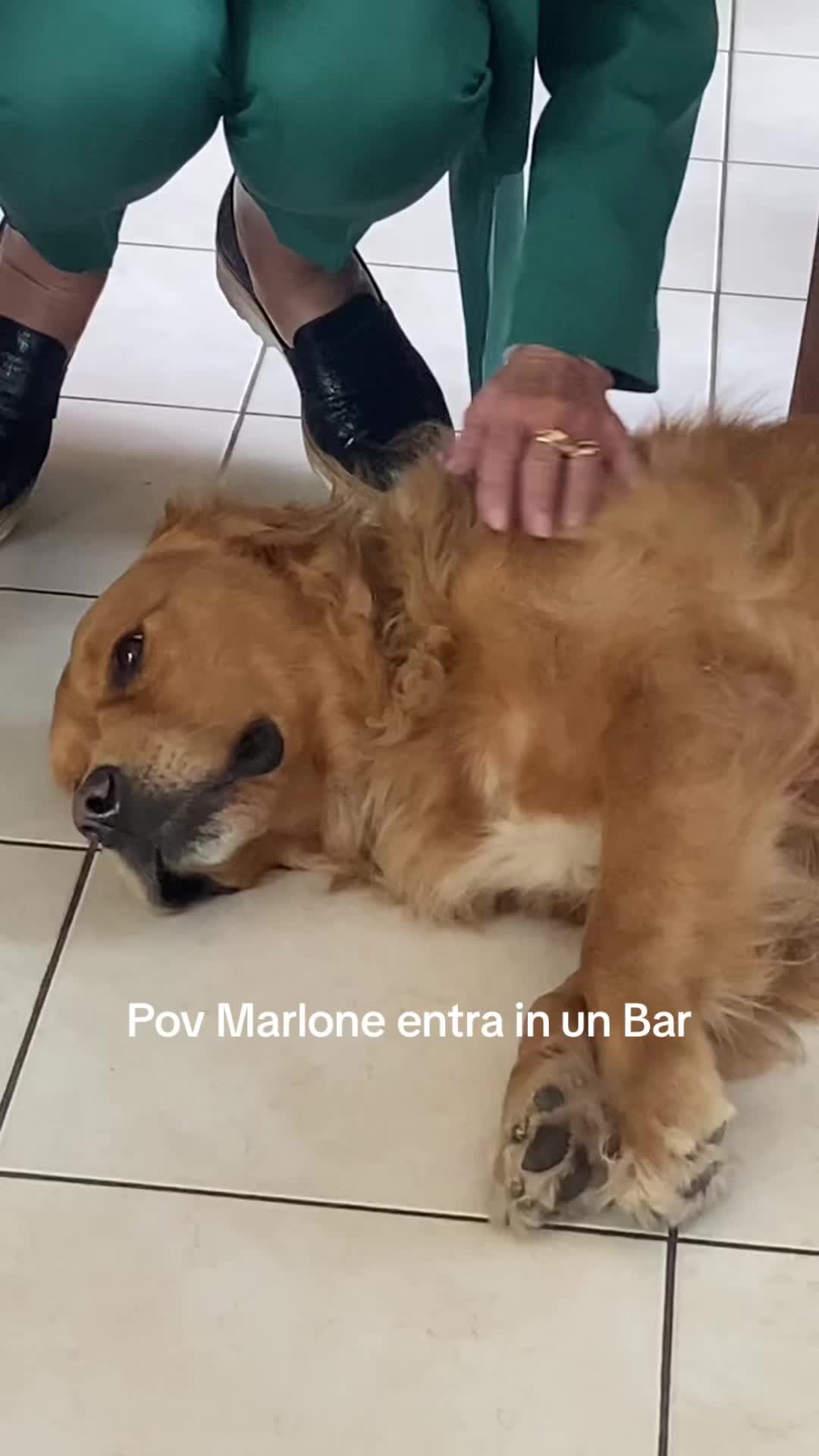 @marloneiltroione