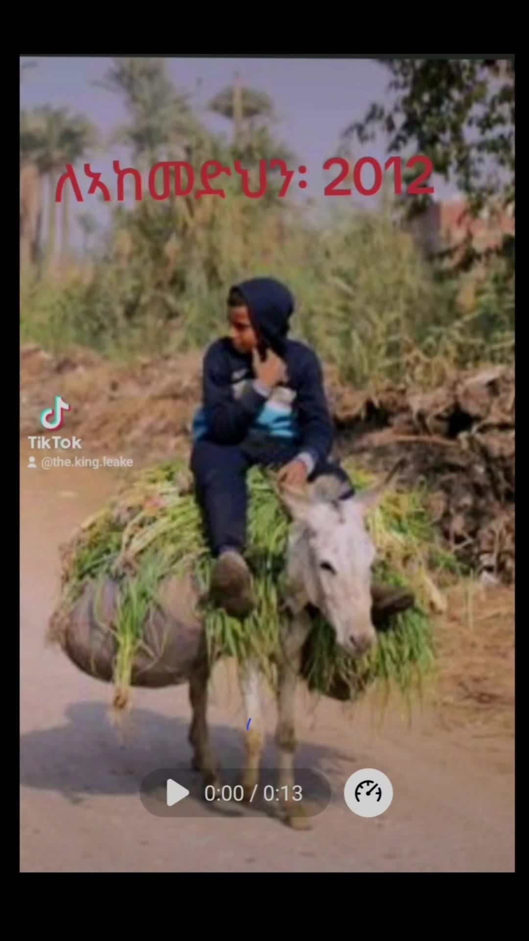 @The King እቲ ንጉስ