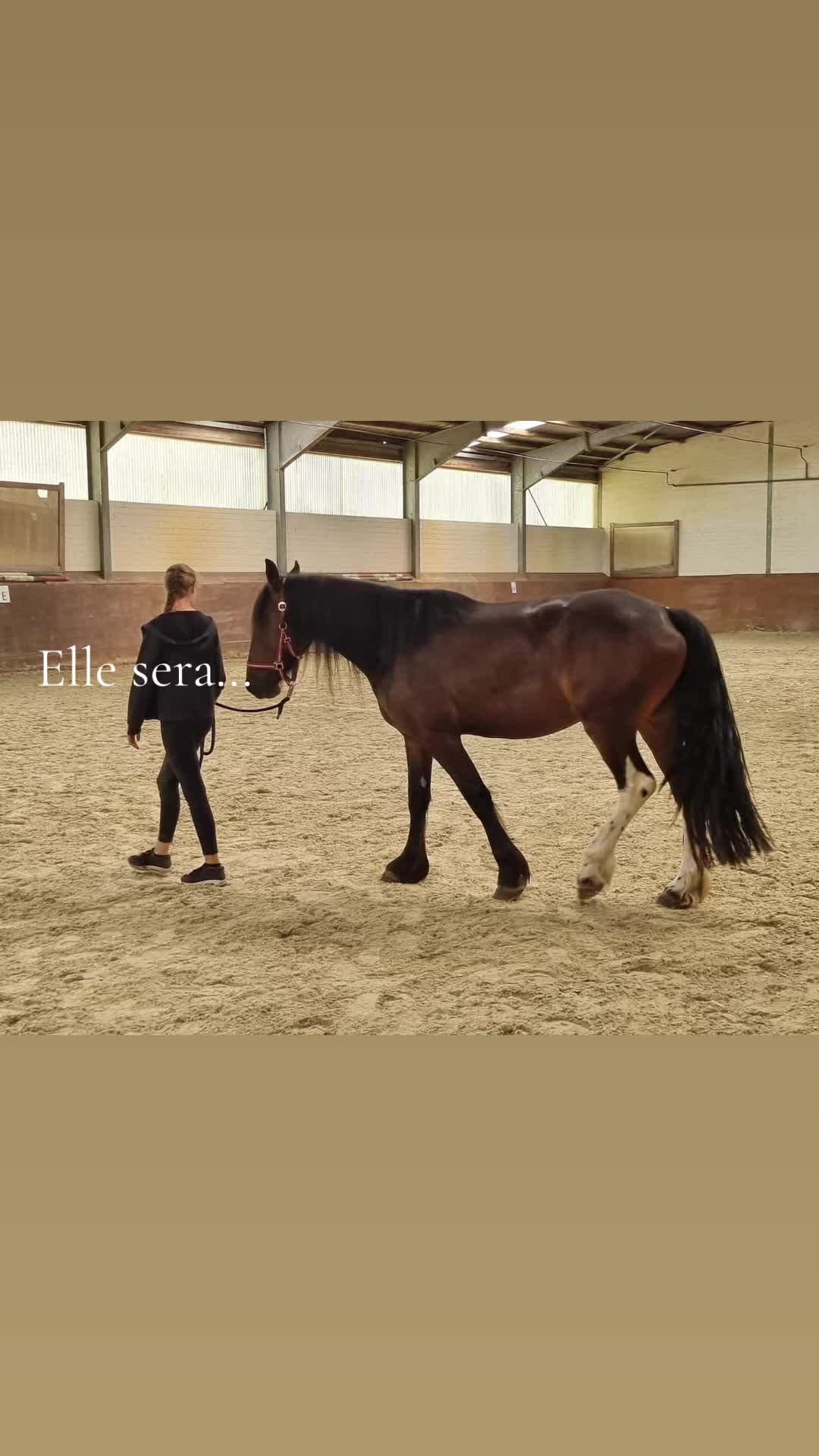 @𝐒𝐡𝐞𝐲