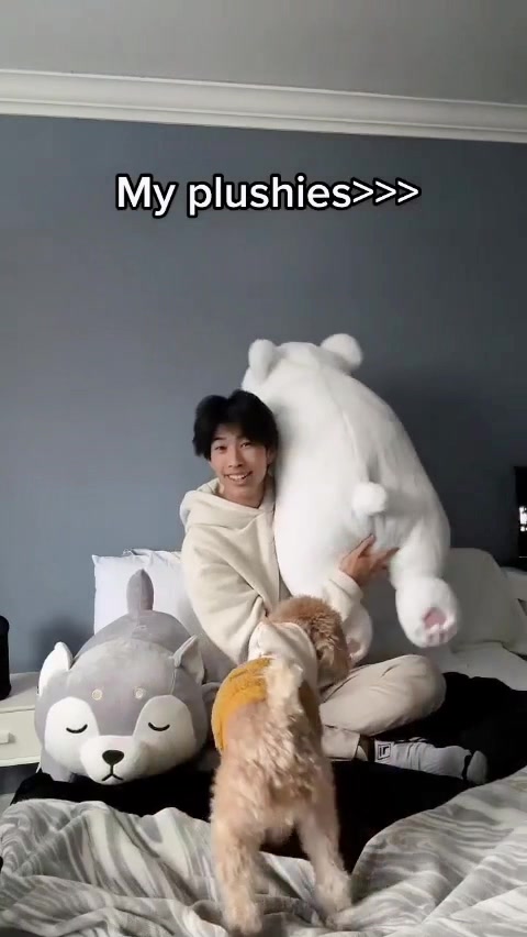 @plumpyplushies