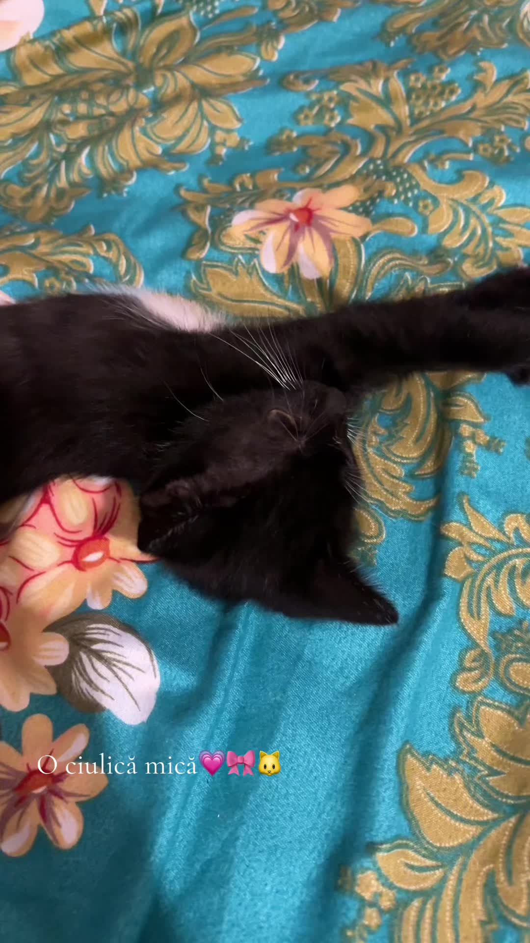 @𝙱𝚒𝚊𝚗𝚌𝚊💕