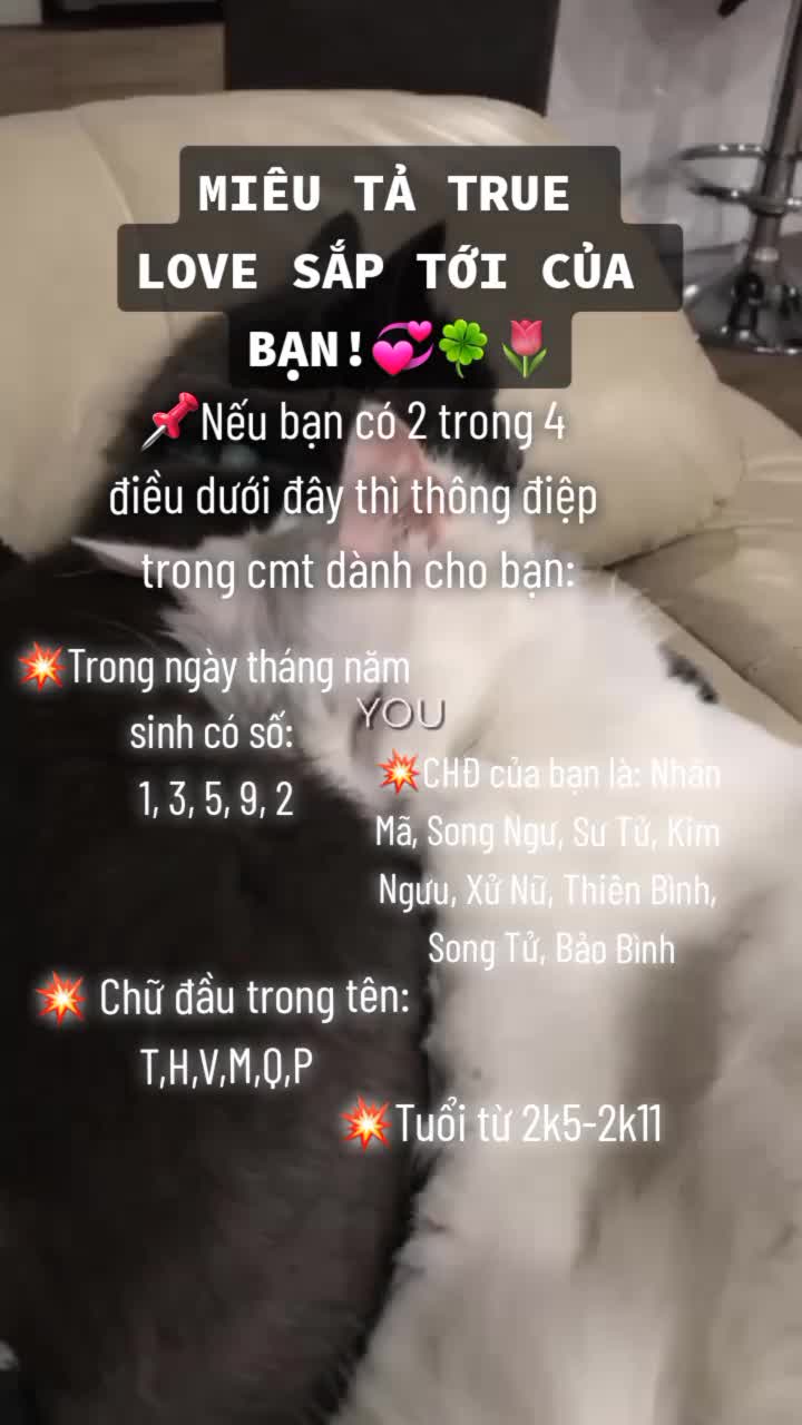 @𝙚𝙙𝙪𝙨𝙖 💓
