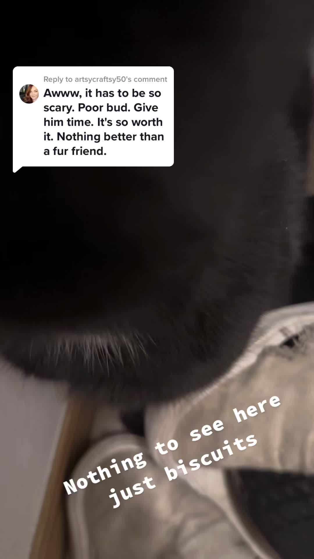 @meatballandfenrir