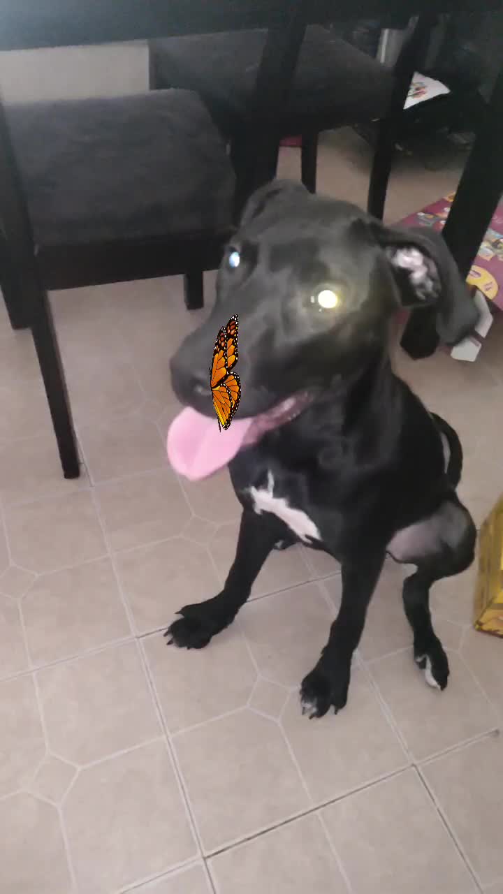 @batkidmagi
