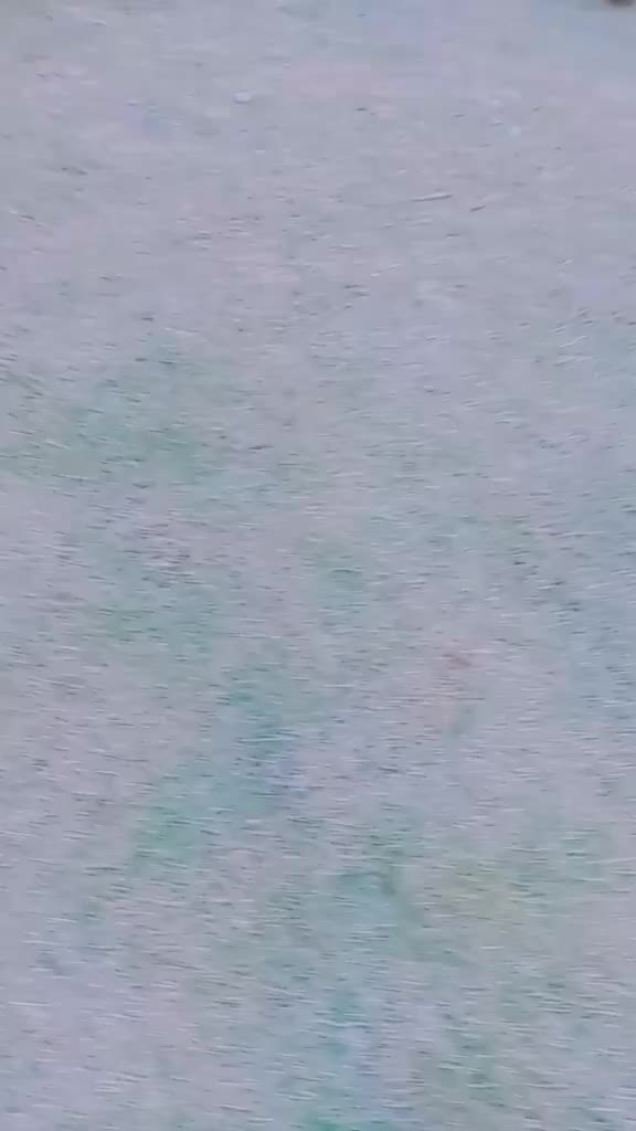 @S@n@m