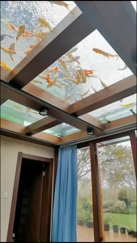 @guente koi