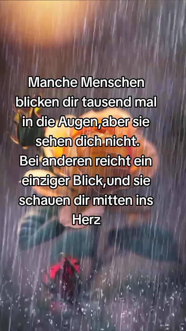@SandyLo1989