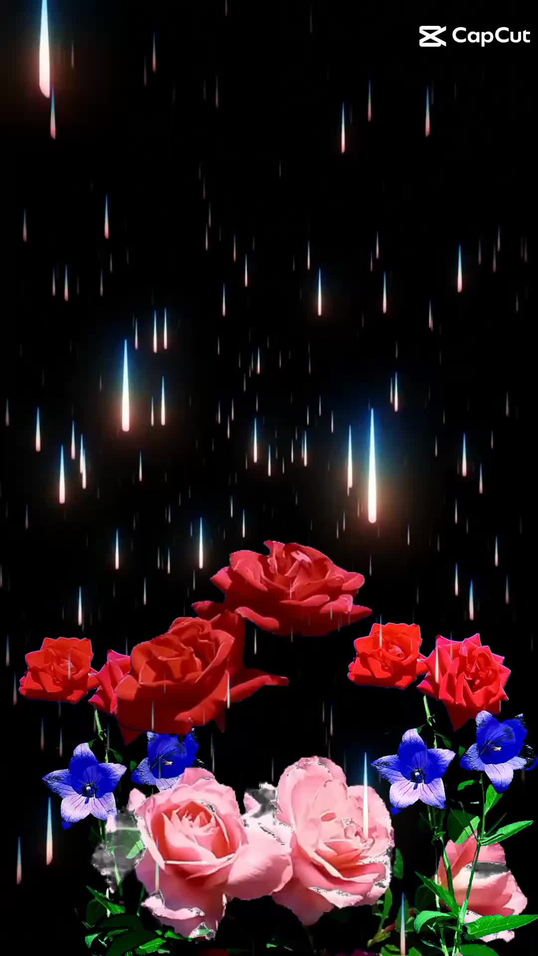 @pabankusari817