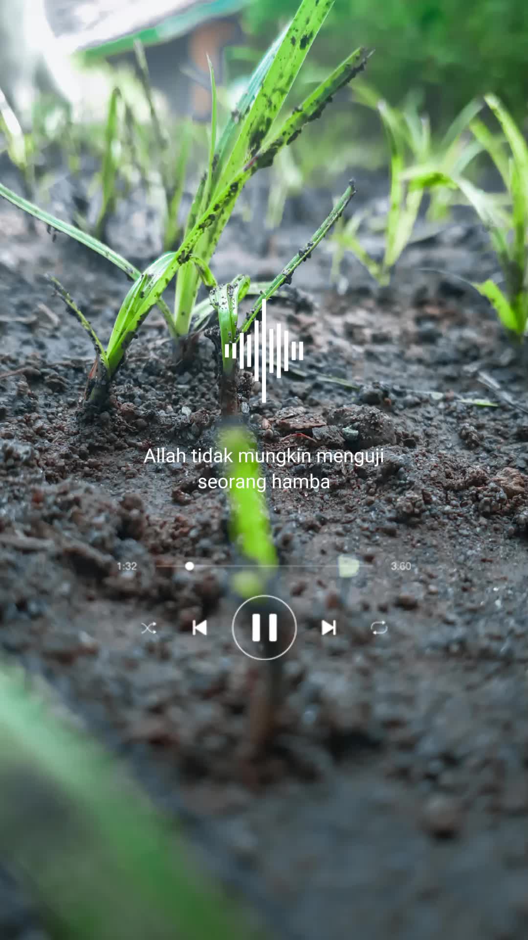 @ر ع ر 🍁