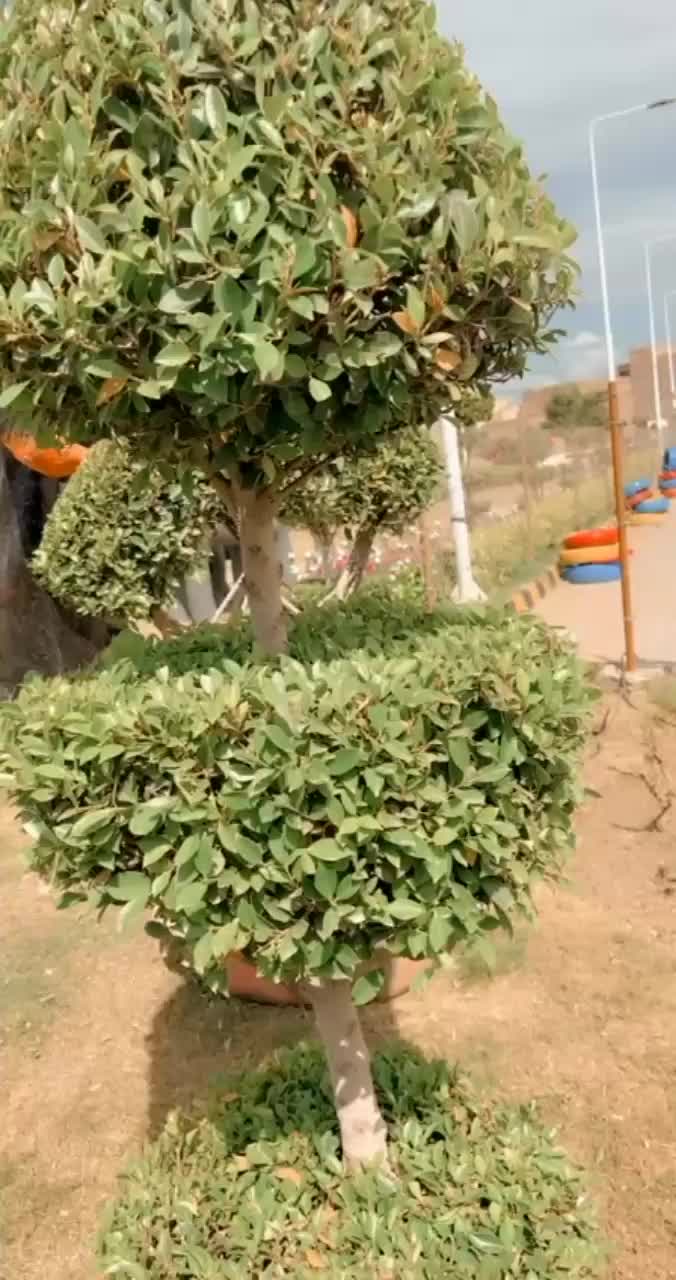 @azaansheikh23