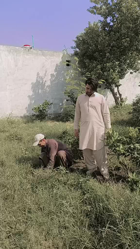 @Alijaanboom