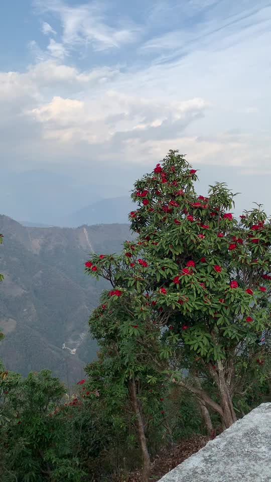 @Manisha thapa🧿