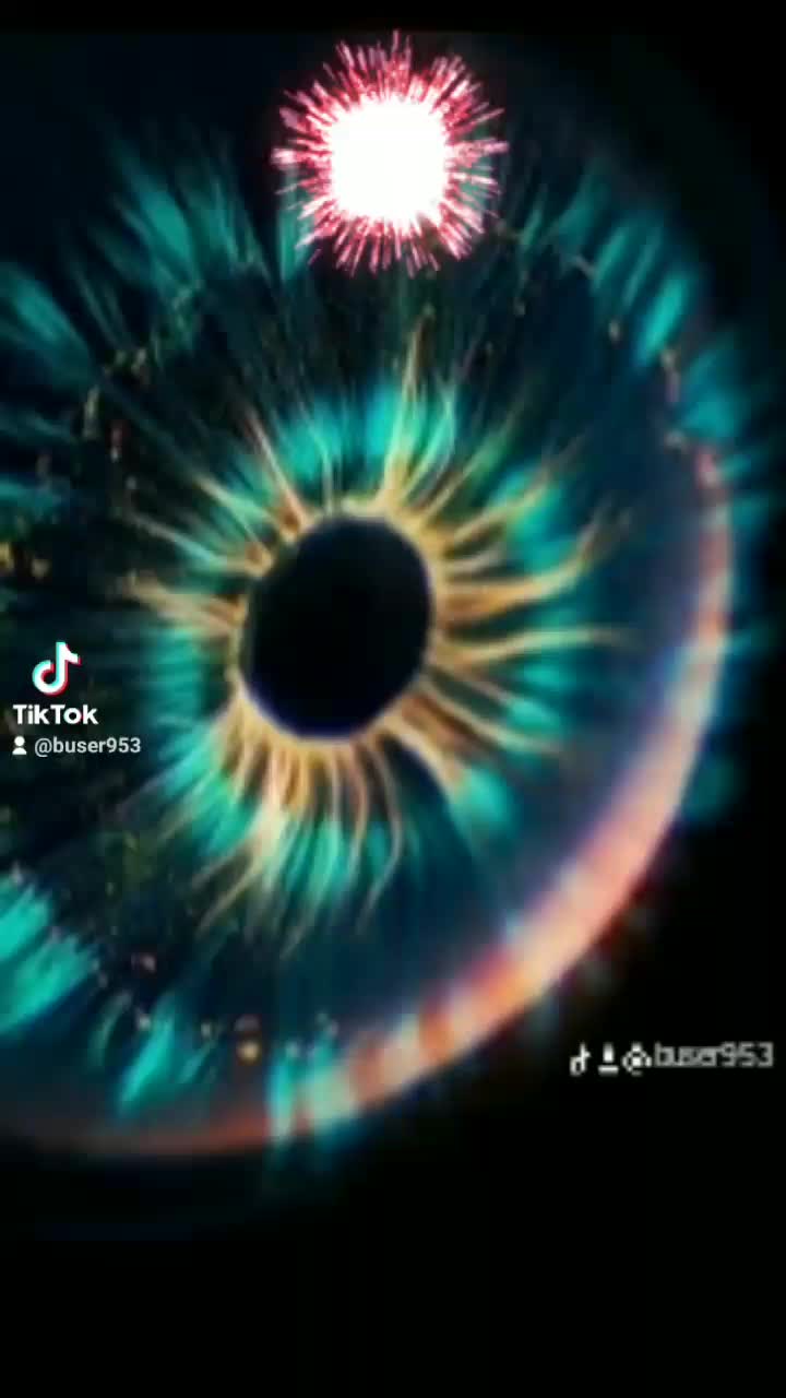 @zibenji