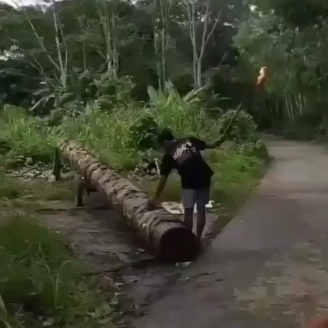 @𝘼𝙙𝙞𝙚 𝙆𝙬𝙞𝙚𝙢