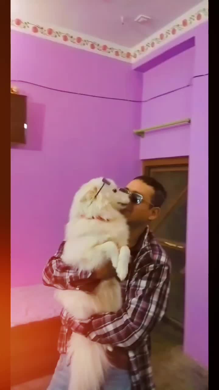 @Pooza Thapa 🕊️😎