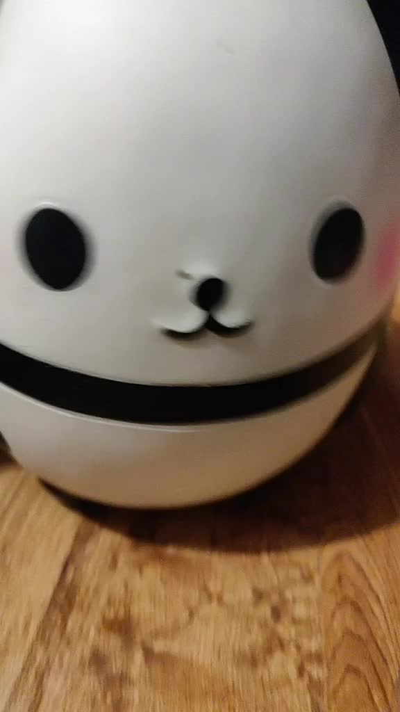 @Panpanchan