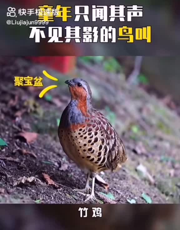 @Tony王者(Mutual concern