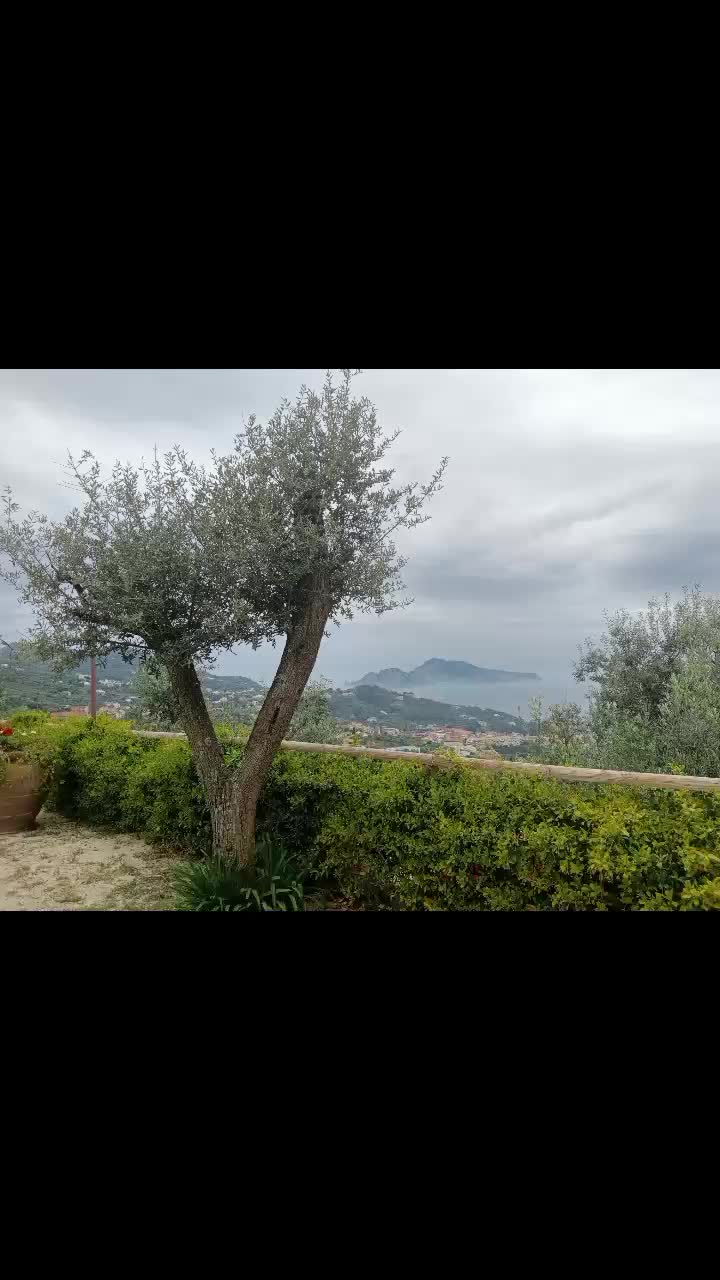 @Chiara Gasparini