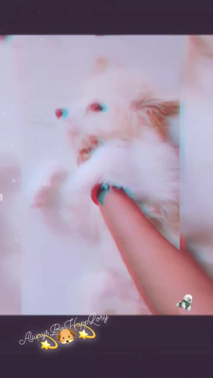 @AmminiReva0401