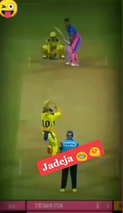 @cricket is life 🌎