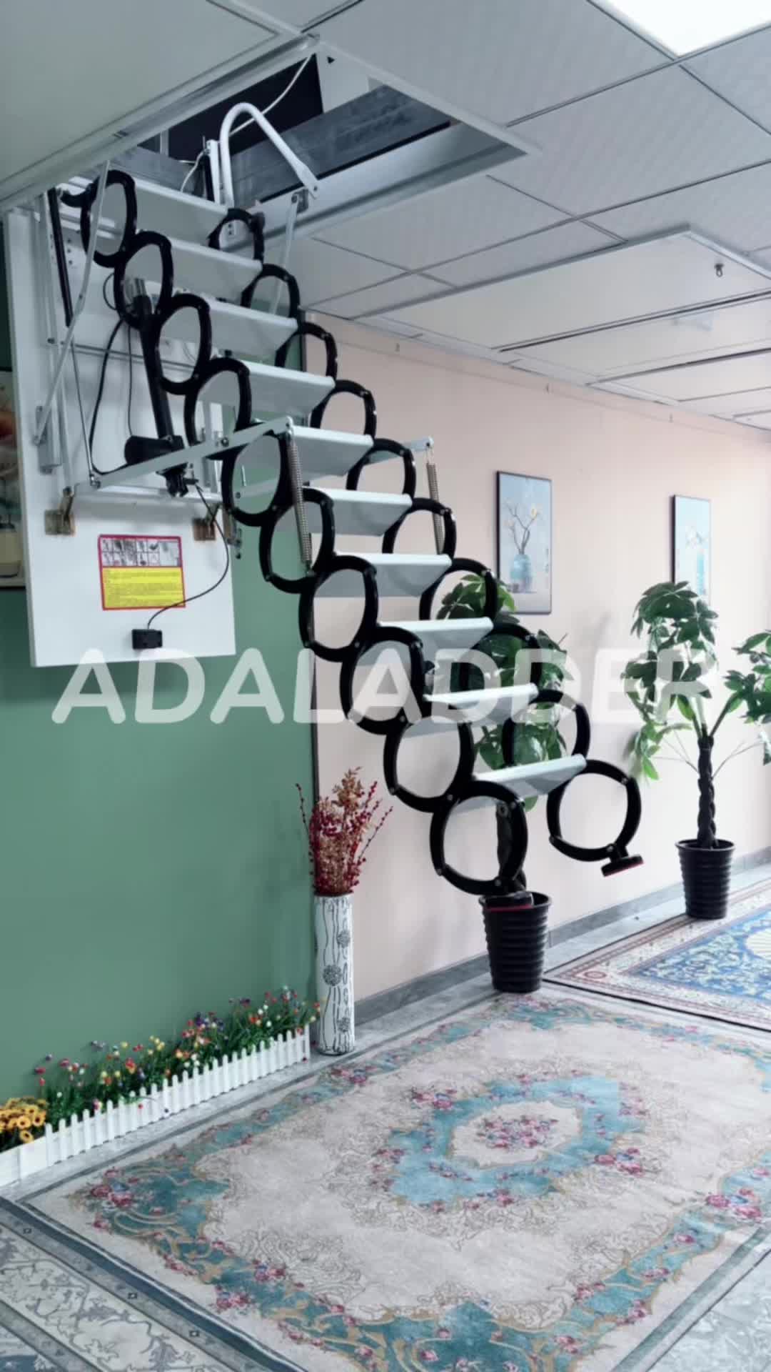 @Renee_attic ladder