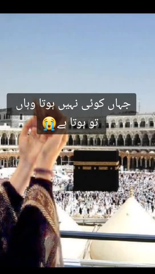 @Alizeey noor❤