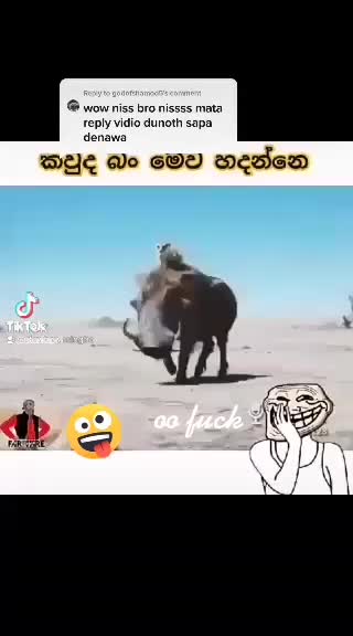 @user553619219233