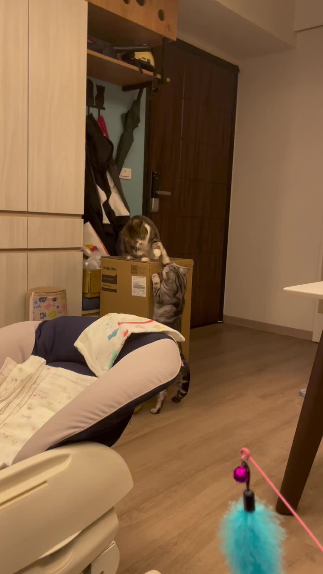 @oahanji