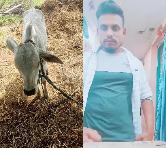 @Rahul ramavath