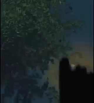 @♥️ط♥️