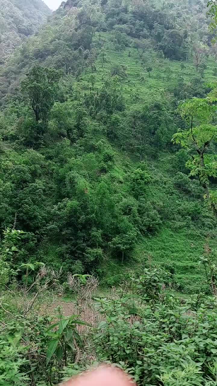 @Yam Kumari Saru