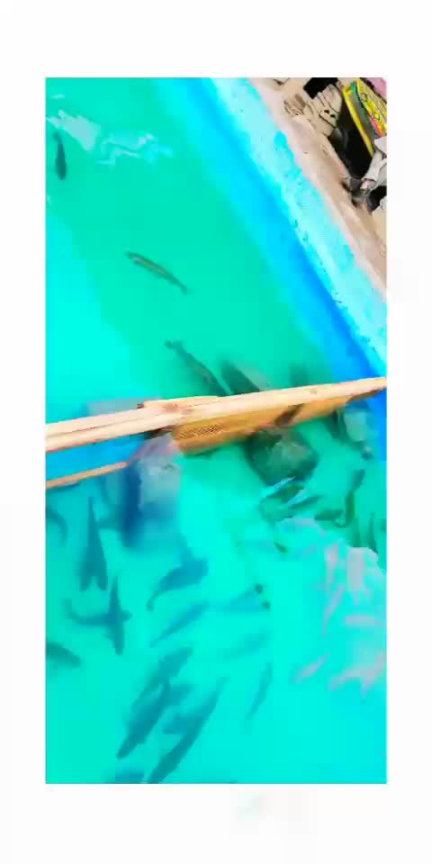 @Omar Khan EusafXai