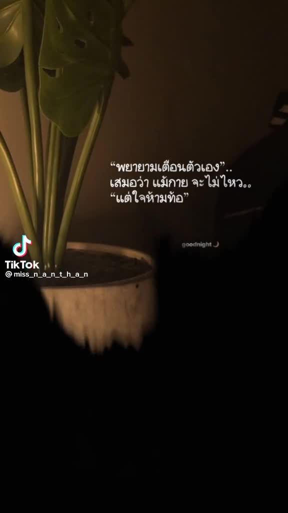 @kitarต้าร์