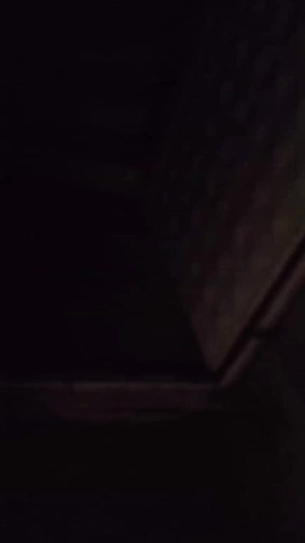 @aysegulum