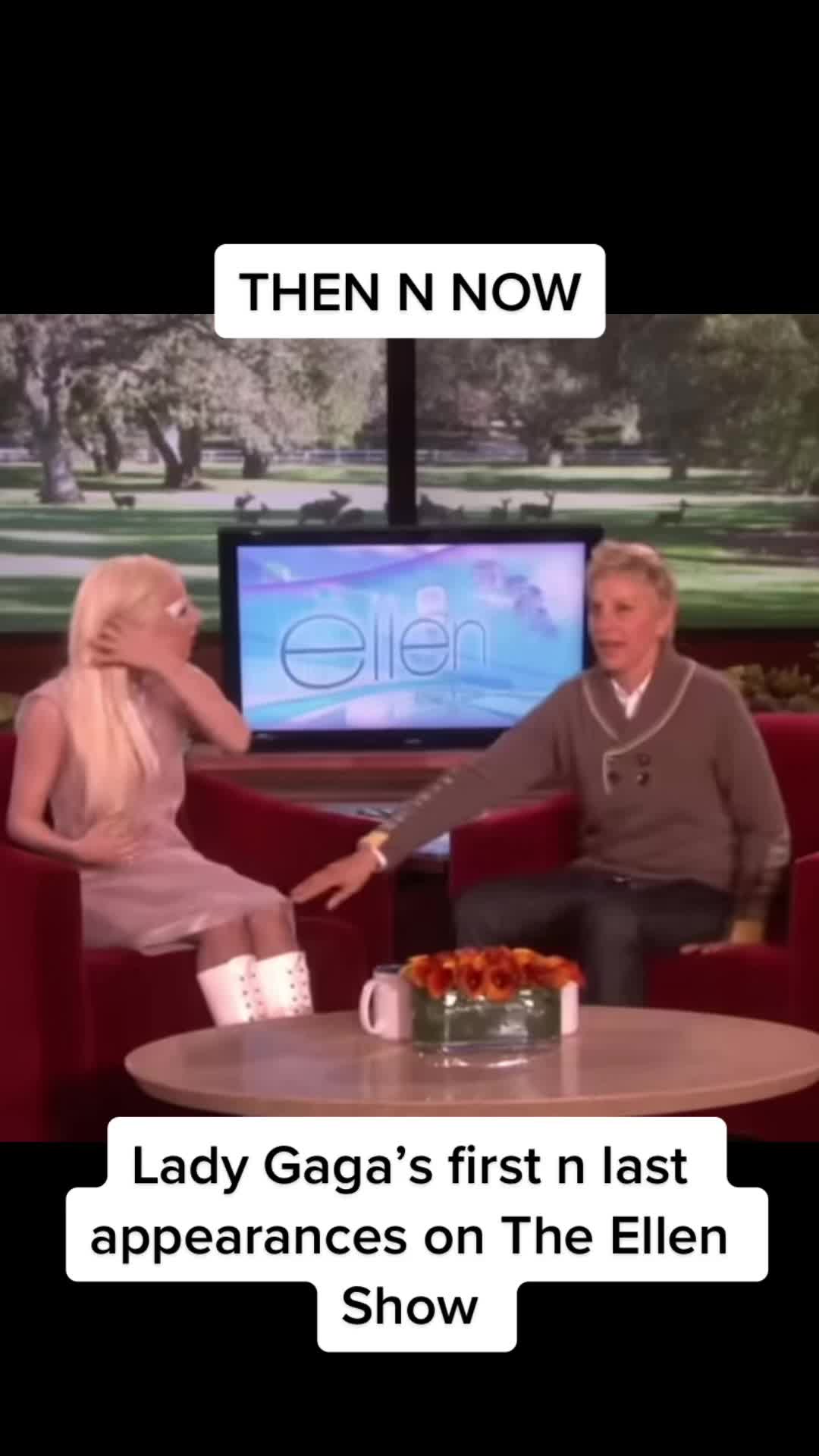 @Lady Gaga