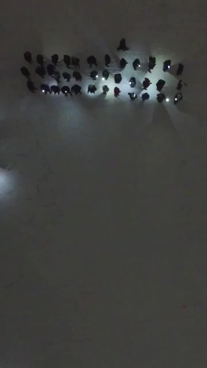 @О Коми