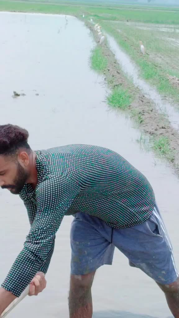 @Harpreet Saini