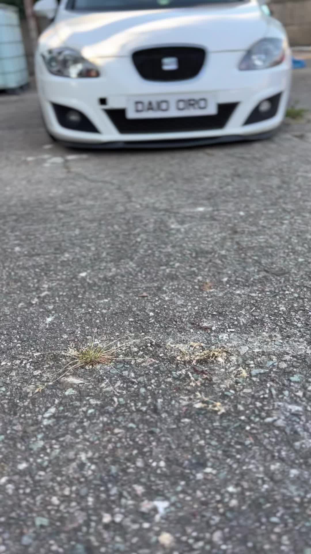 @jayceepotts650