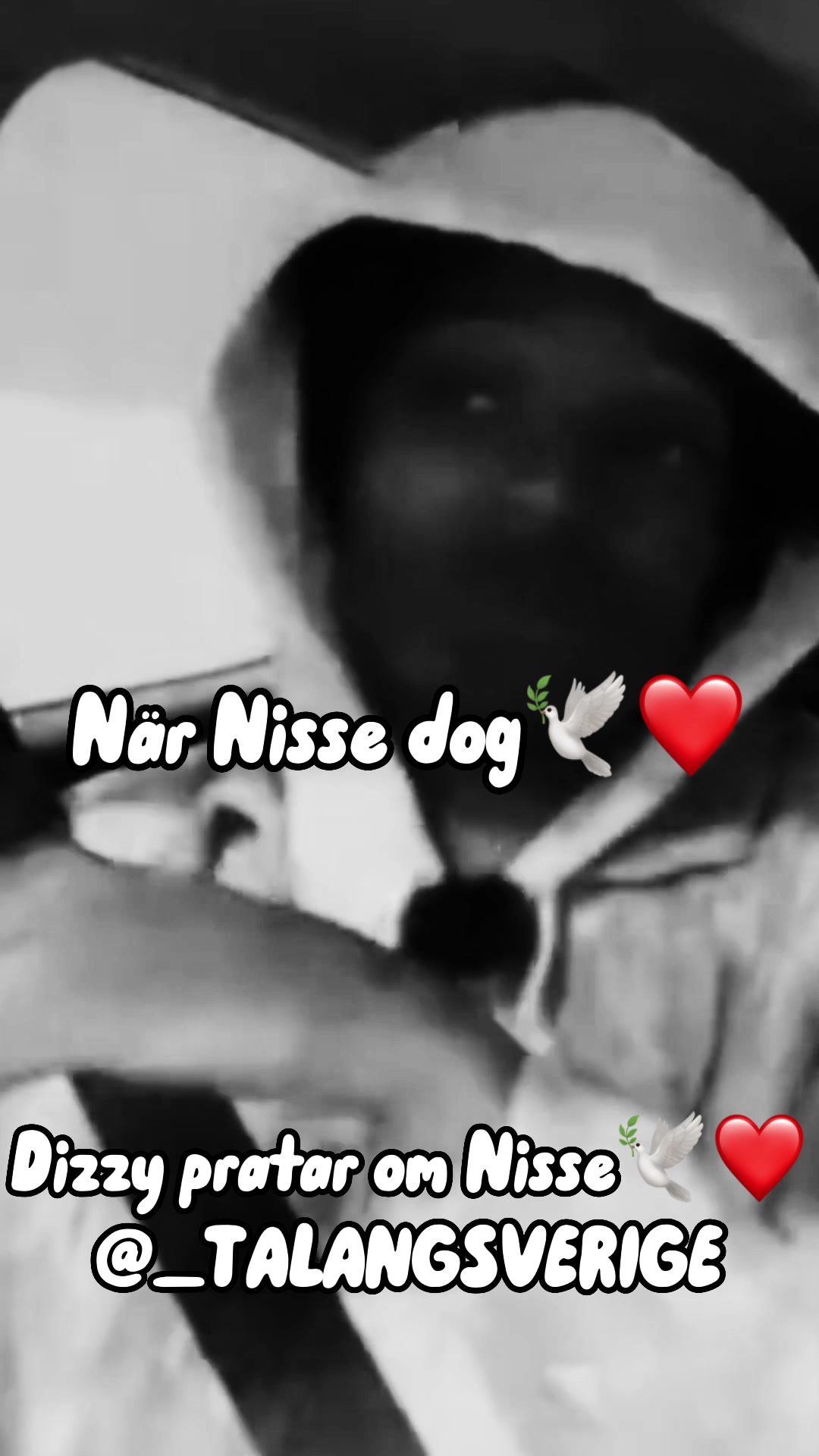 @_talangsverige1