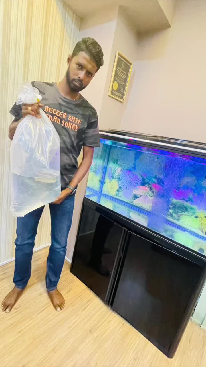 @RS AROWANA EMPIRE