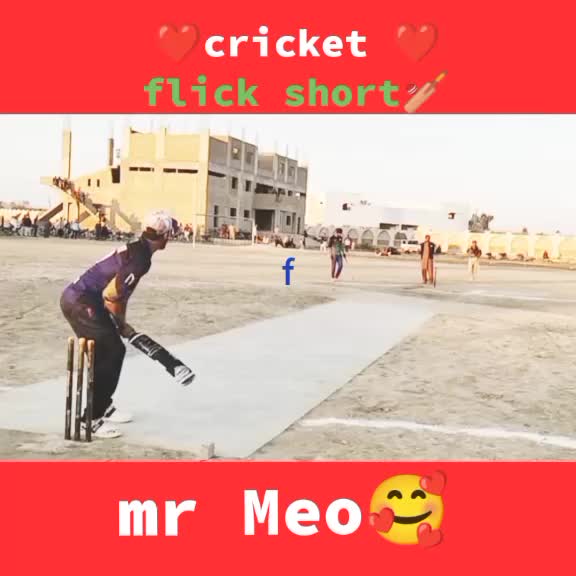 @Mr Meo ✨