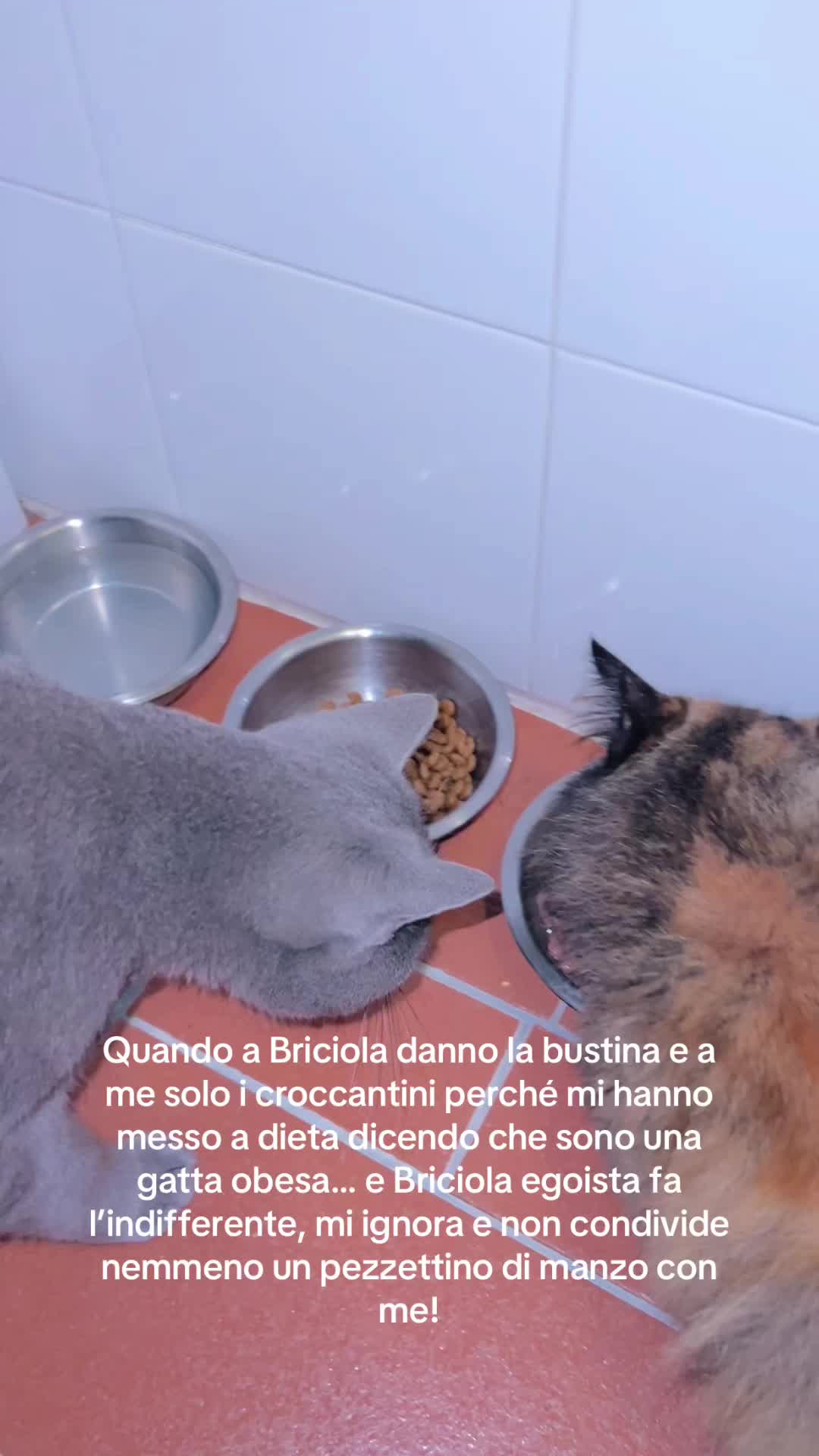 @Corinna Bertini