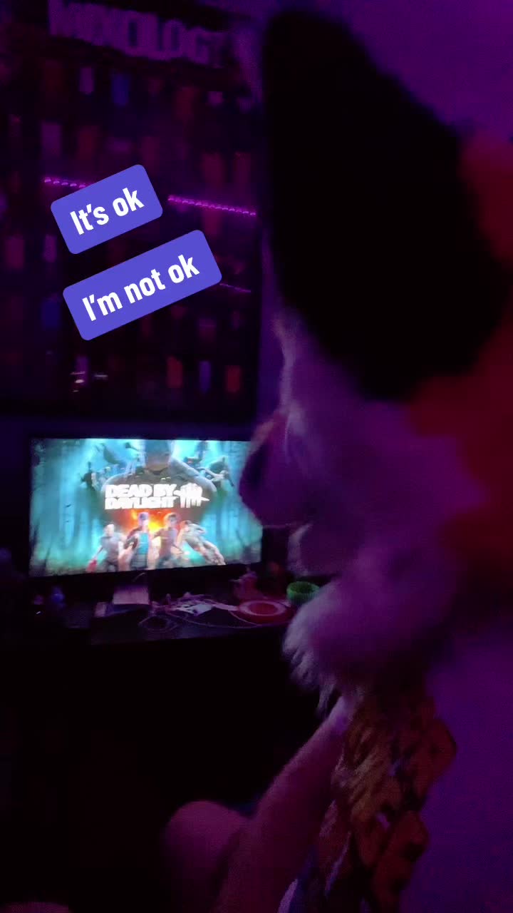 @StripeDaFox