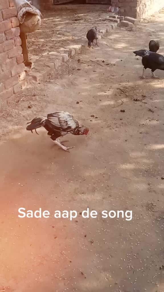 @Ijaz Baloch 🥰
