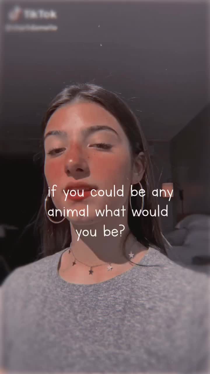 @Charli fanpage💗